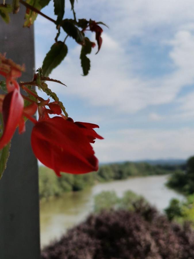 Plaza Otel Varvarin Dış mekan fotoğraf